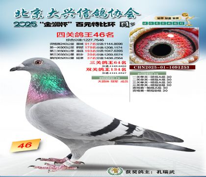 ��Ԫ�ر��Ĺظ���46��