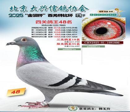 ��Ԫ�ر��Ĺظ���48��