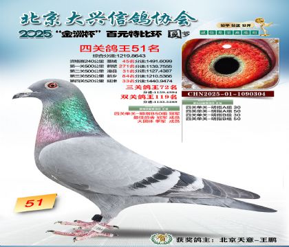 ��Ԫ�ر��Ĺظ���51��