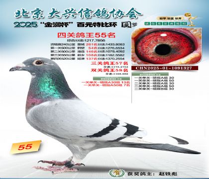 ��Ԫ�ر��Ĺظ���55��