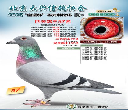 ��Ԫ�ر��Ĺظ���57��