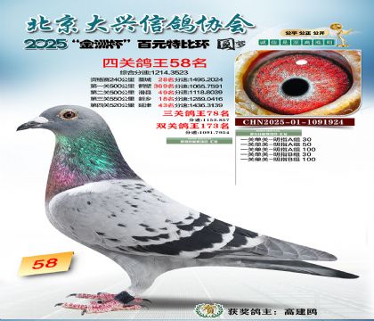 ��Ԫ�ر��Ĺظ���58��