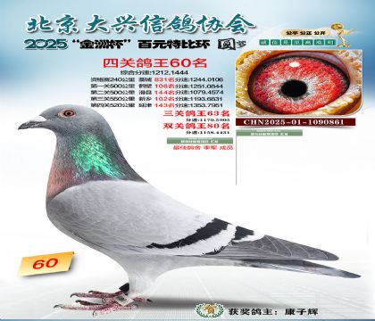 ��Ԫ�ر��Ĺظ���60��