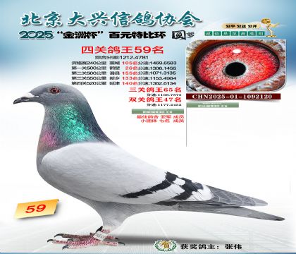 ��Ԫ�ر��Ĺظ���59��