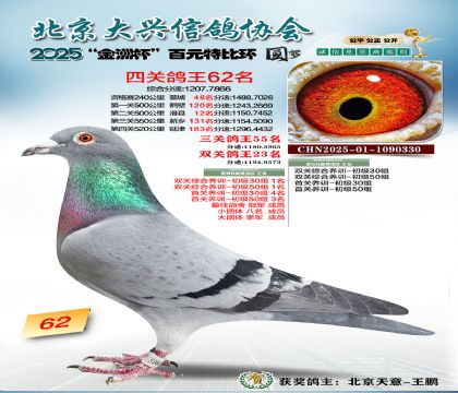 ��Ԫ�ر��Ĺظ���62��