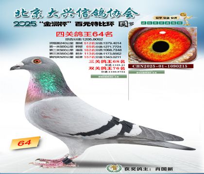 ��Ԫ�ر��Ĺظ���64��