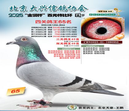 ��Ԫ�ر��Ĺظ���65��