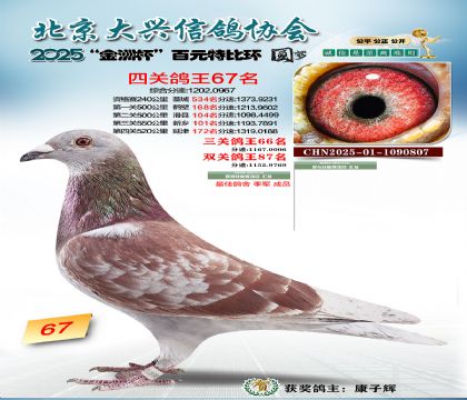 ��Ԫ�ر��Ĺظ���67��