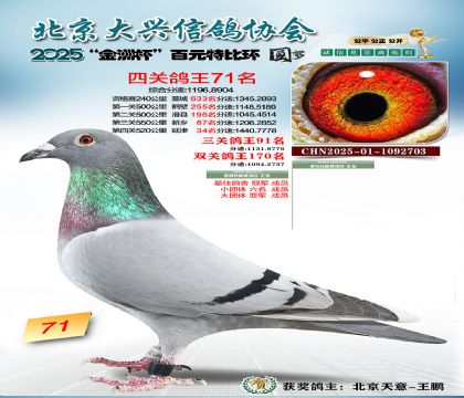 ��Ԫ�ر��Ĺظ���71��