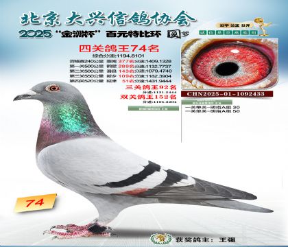 ��Ԫ�ر��Ĺظ���74��