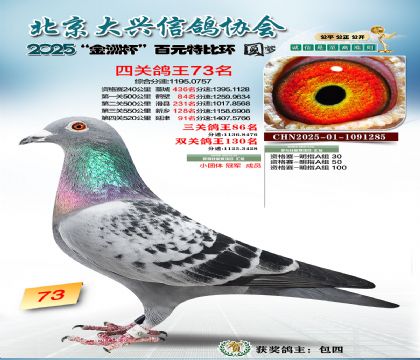 ��Ԫ�ر��Ĺظ���73��