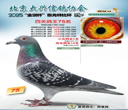 ��Ԫ�ر��Ĺظ���75��