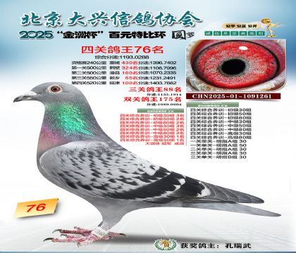 ��Ԫ�ر��Ĺظ���76��