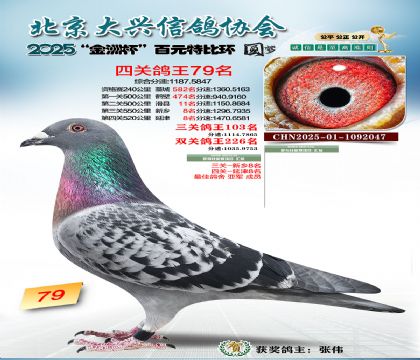 ��Ԫ�ر��Ĺظ���79��