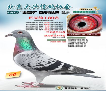 ��Ԫ�ر��Ĺظ���80��