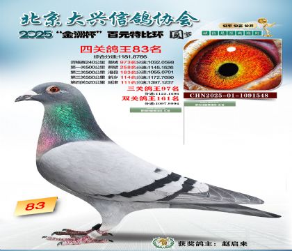 ��Ԫ�ر��Ĺظ���83��