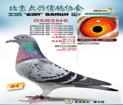 ��Ԫ�ر��Ĺظ���84��