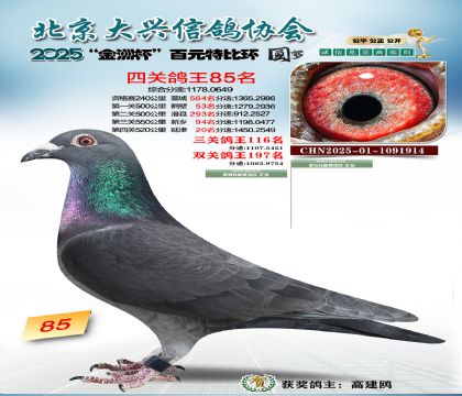 ��Ԫ�ر��Ĺظ���85��