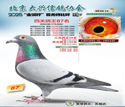 ��Ԫ�ر��Ĺظ���87��