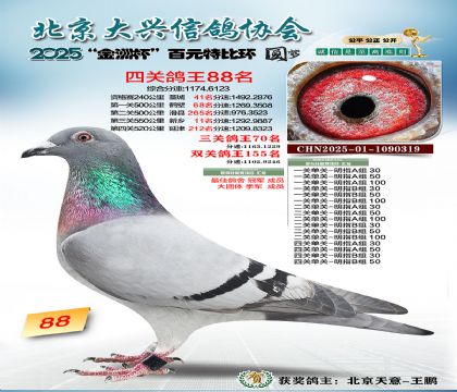 ��Ԫ�ر��Ĺظ���88��