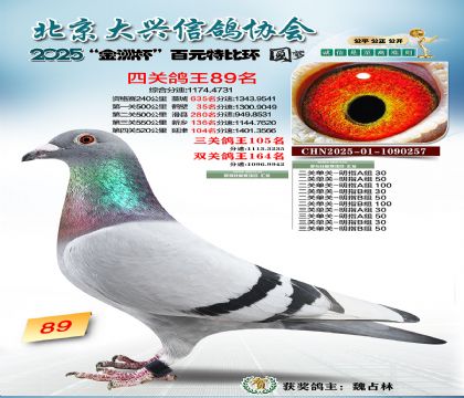 ��Ԫ�ر��Ĺظ���89��