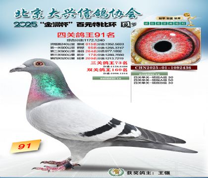 ��Ԫ�ر��Ĺظ���91��