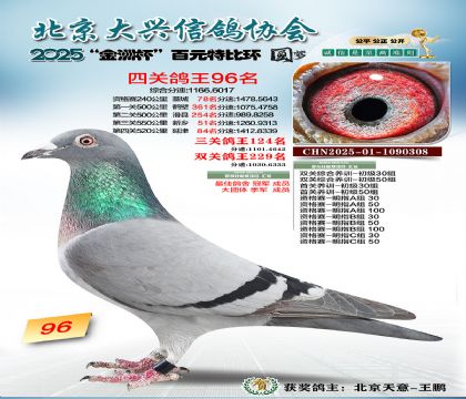 ��Ԫ�ر��Ĺظ���96��