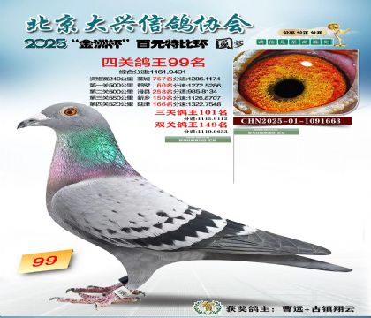 ��Ԫ�ر��Ĺظ���99��