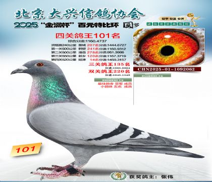 ��Ԫ�ر��Ĺظ���101��