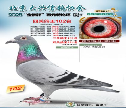 ��Ԫ�ر��Ĺظ���102��