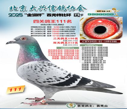 ��Ԫ�ر��Ĺظ���111��