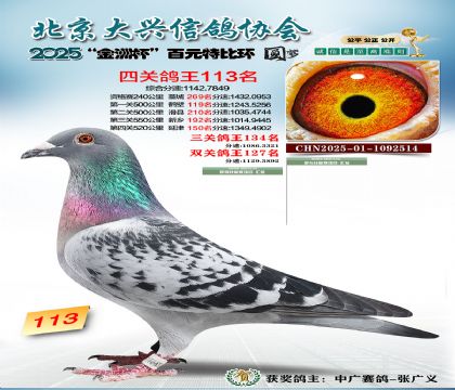 ��Ԫ�ر��Ĺظ���113��