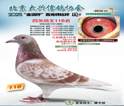 ��Ԫ�ر��Ĺظ���116��