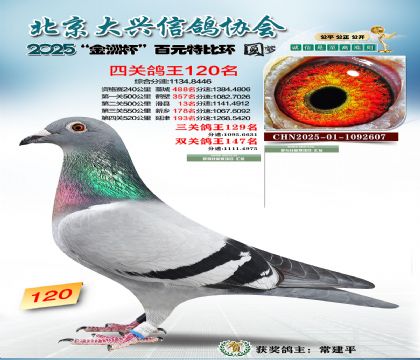 ��Ԫ�ر��Ĺظ���120��