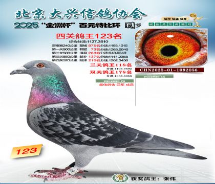 ��Ԫ�ر��Ĺظ���123��