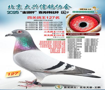 ��Ԫ�ر��Ĺظ���127��