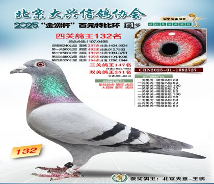 ��Ԫ�ر��Ĺظ���132��