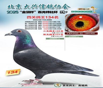 ��Ԫ�ر��Ĺظ���134��