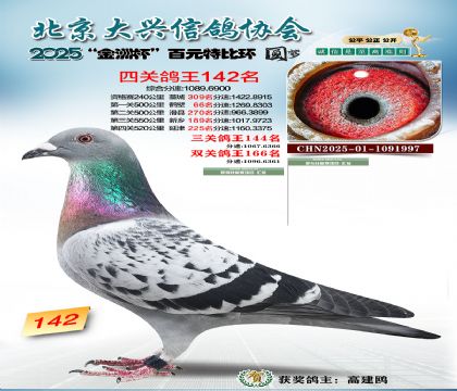 ��Ԫ�ر��Ĺظ���142��