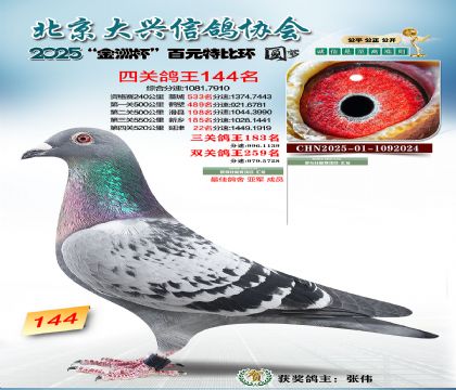 ��Ԫ�ر��Ĺظ���144��