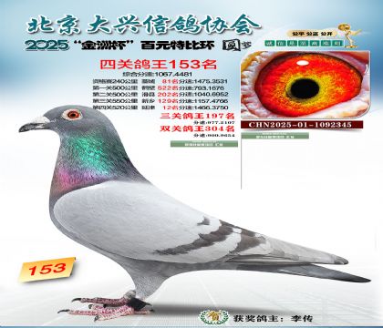 ��Ԫ�ر��Ĺظ���153��