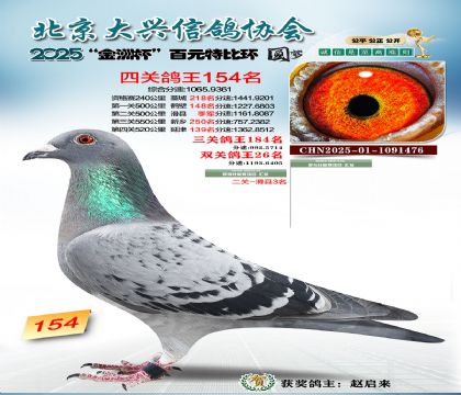 ��Ԫ�ر��Ĺظ���154��