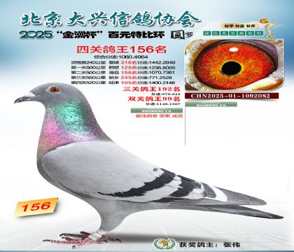 ��Ԫ�ر��Ĺظ���156��