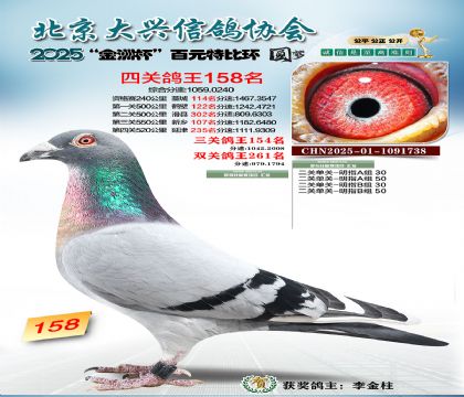 ��Ԫ�ر��Ĺظ���158��