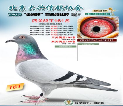 ��Ԫ�ر��Ĺظ���161��