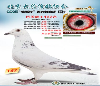 ��Ԫ�ر��Ĺظ���162��