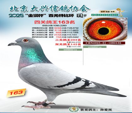 ��Ԫ�ر��Ĺظ���163��