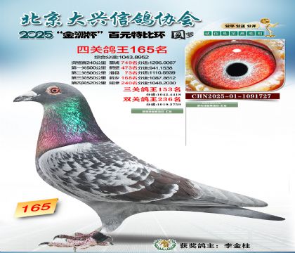 ��Ԫ�ر��Ĺظ���165��