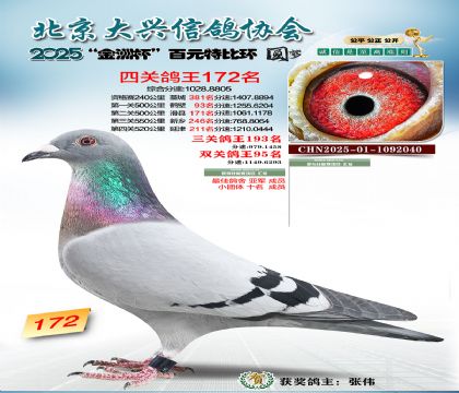 ��Ԫ�ر��Ĺظ���172��