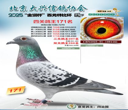 ��Ԫ�ر��Ĺظ���171��